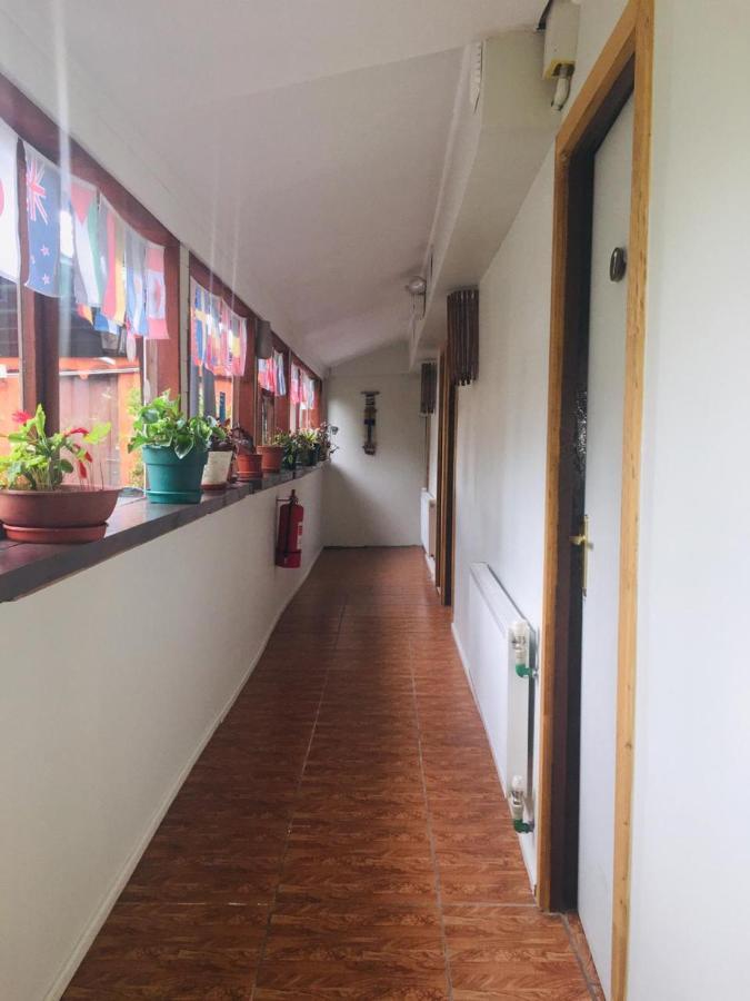 Hospedaje Irma Backpackers Pucón Екстериор снимка